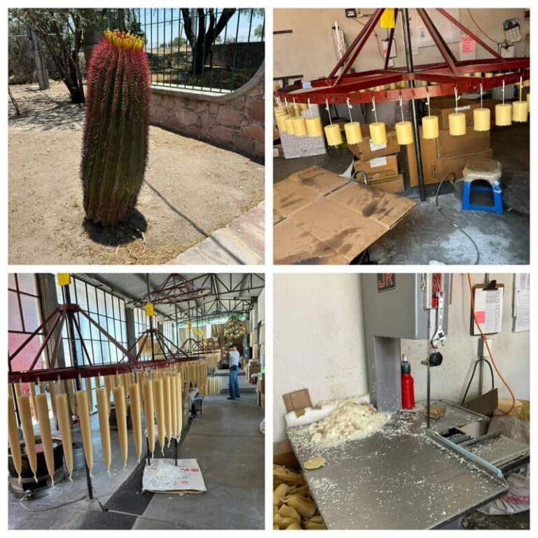 2024-CHARLIE-HALLS-WORKSHOP-Collage-ONE